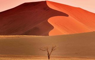 Desert in Africa