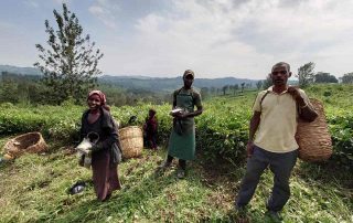 Locals gathering in Africa