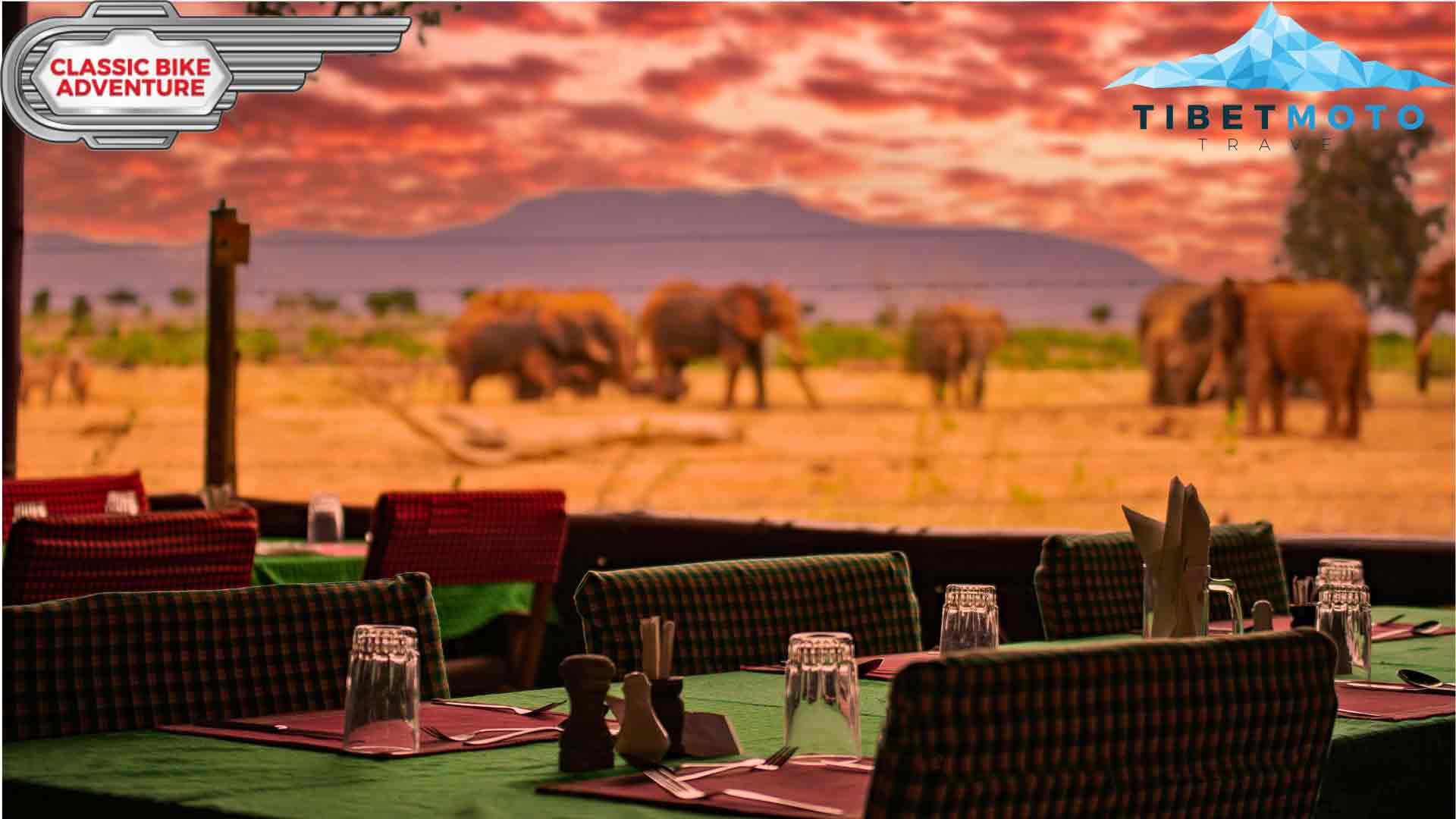 Restaurant in Africa with a view of elephants