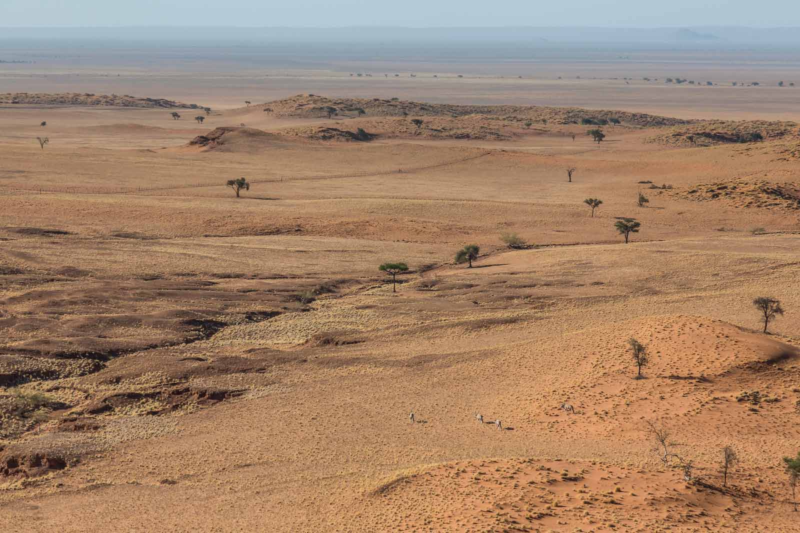 Desert in Africa